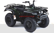 YFM 350