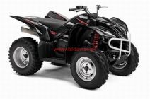 YFM 450