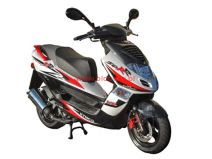 Bet&Win Sport 50 2T