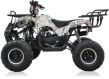 EXTREME RIDE QUAD YD PHYTON 006/7 125CC - 2