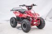 EXTREME RIDE QUAD YD BIG FOOT 001/7 125CC - 4