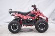 EXTREME RIDE QUAD YD BIG FOOT 001/7 125CC - 5