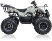 EXTREME RIDE QUAD YD PHYTON 006/8 125CC - 3