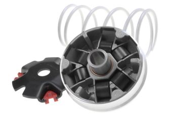 WARIATOR MALOSSI MULTIVAR, GY6 4T (139QMB / 139QMA)