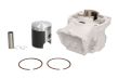 Cylinder Rotax 122 NICASIL APRILIA RS/RX 125 - 2