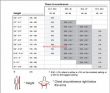 OCHRANIACZ SZYI STABILIZATOR LEATT BRACE Kart - 8