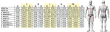 Kombinezon OMP CS55 NOWY 2025 FIA 8877-2022 - 6
