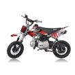 PITBIKE MRF 80 - 2
