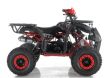 EXTREME RIDE QUAD APOLLO GRIZZLY/7 110CC - 3