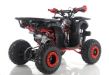 EXTREME RIDE QUAD APOLLO GRIZZLY/7 110CC - 2