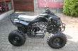 Quad Waria 010 - 12