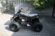 Quad Waria 010 - 8