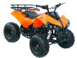 Quad Waria 010 - 16