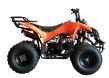 Quad Waria 010 - 17