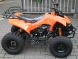 Quad Waria 010 - 20