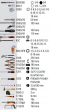 ZESTAW 100 NARZĘDZI W WALIZCE EASY BETA  - 5